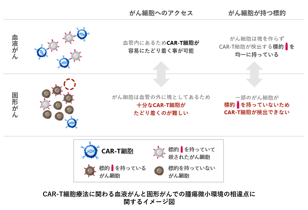 Blood_Solid_Tumor_CAR-T_Therapy_2023_2.png