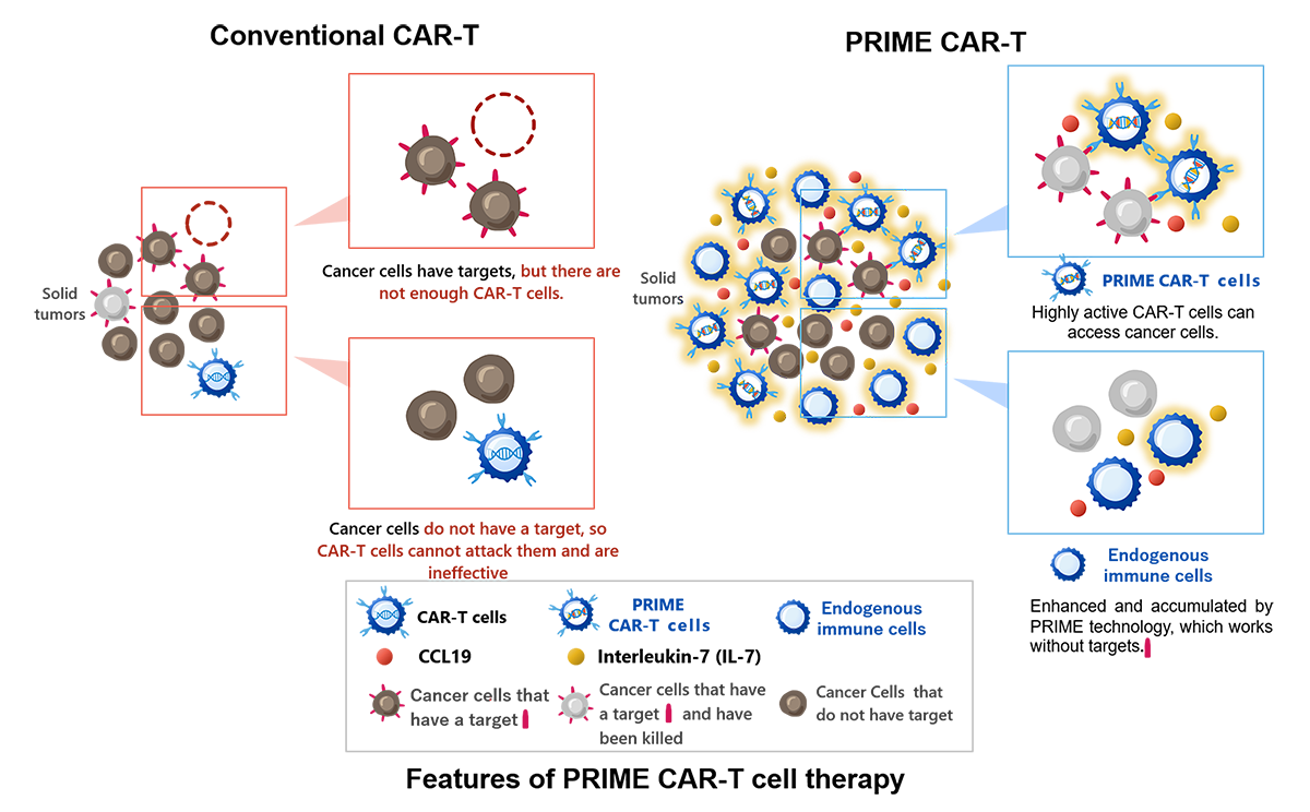 CAR-T_vs_PRIME_CAR-T