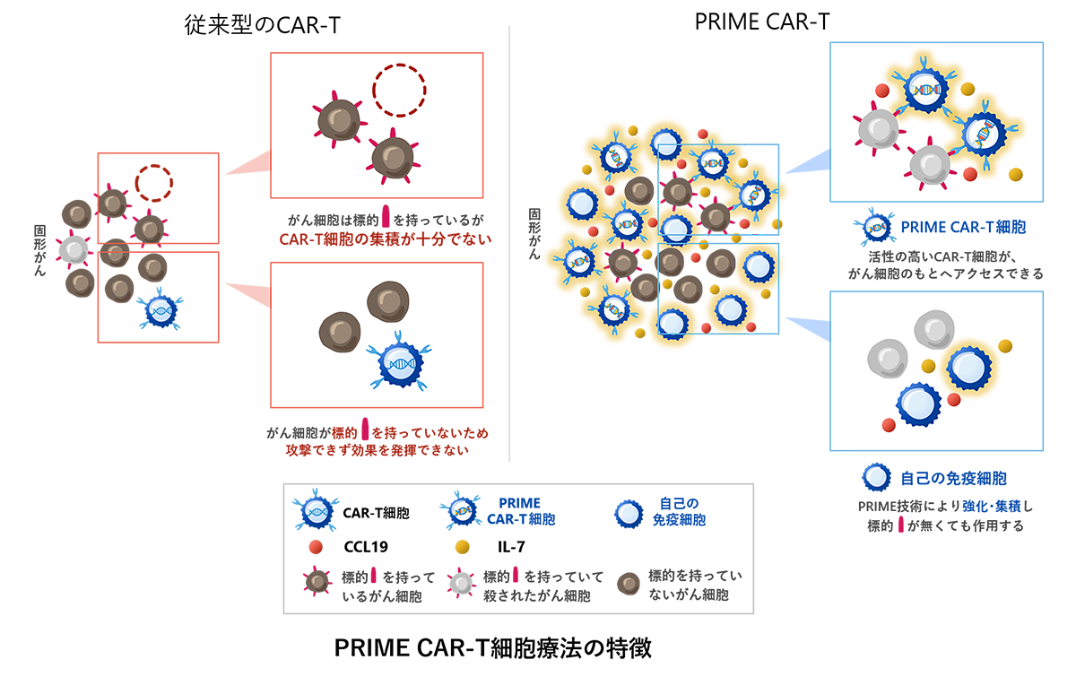 CAR-T_vs_PRIME_CAR-T