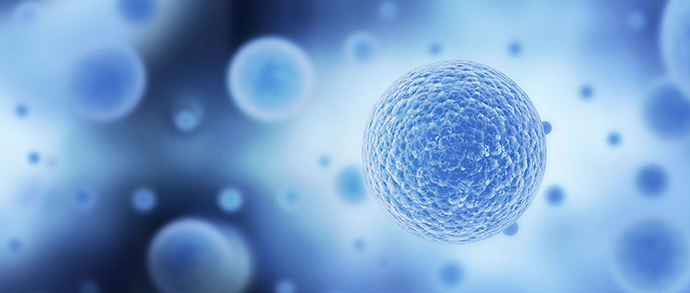 弊社を装った迷惑メール（なりすましメール）に関する注意喚起について